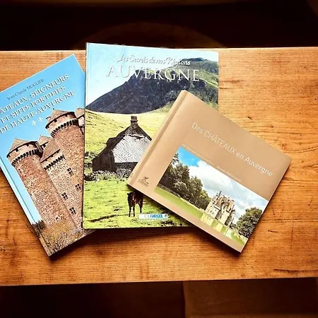 La Tour Du Marche * Allanche